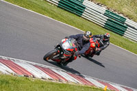 cadwell-no-limits-trackday;cadwell-park;cadwell-park-photographs;cadwell-trackday-photographs;enduro-digital-images;event-digital-images;eventdigitalimages;no-limits-trackdays;peter-wileman-photography;racing-digital-images;trackday-digital-images;trackday-photos